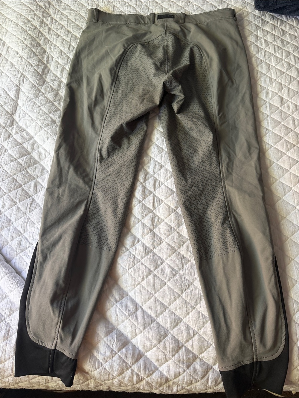 Men's Riding Breeches in Olive Gray